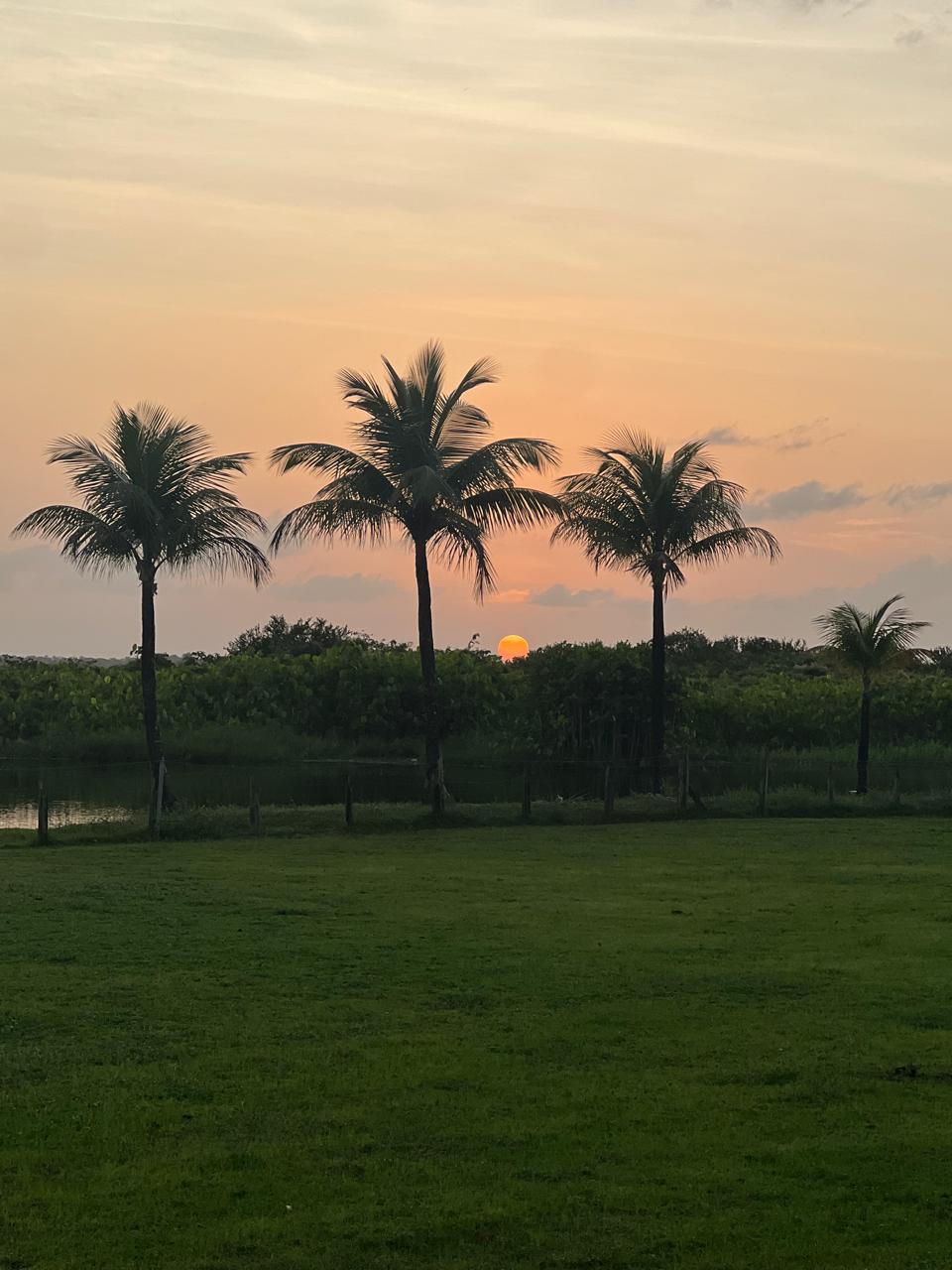 Coucher de soleil sur les marais de Sinnamary, Guyane