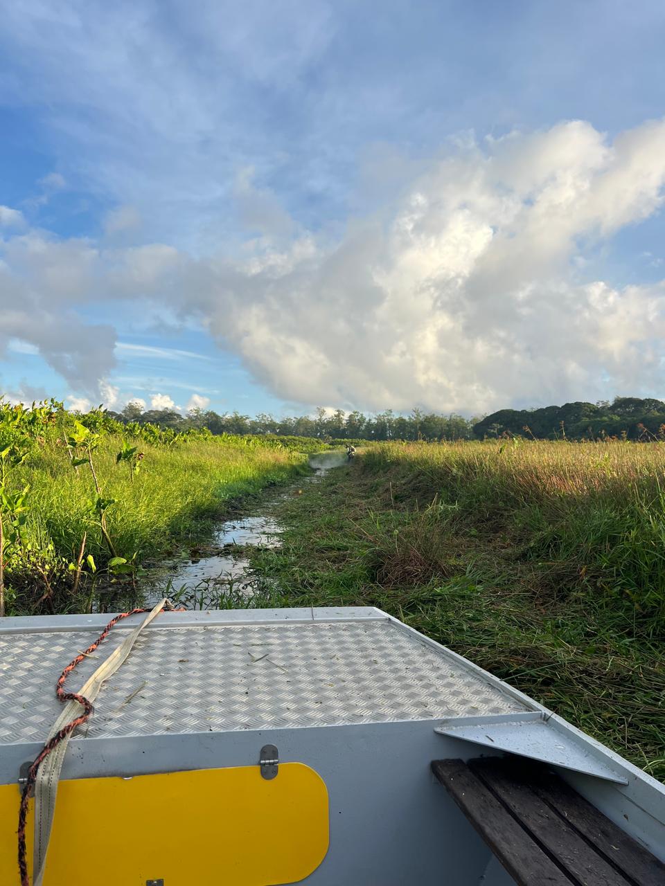 Hydroglisseur dans les marais de Sinnamary, Guyane